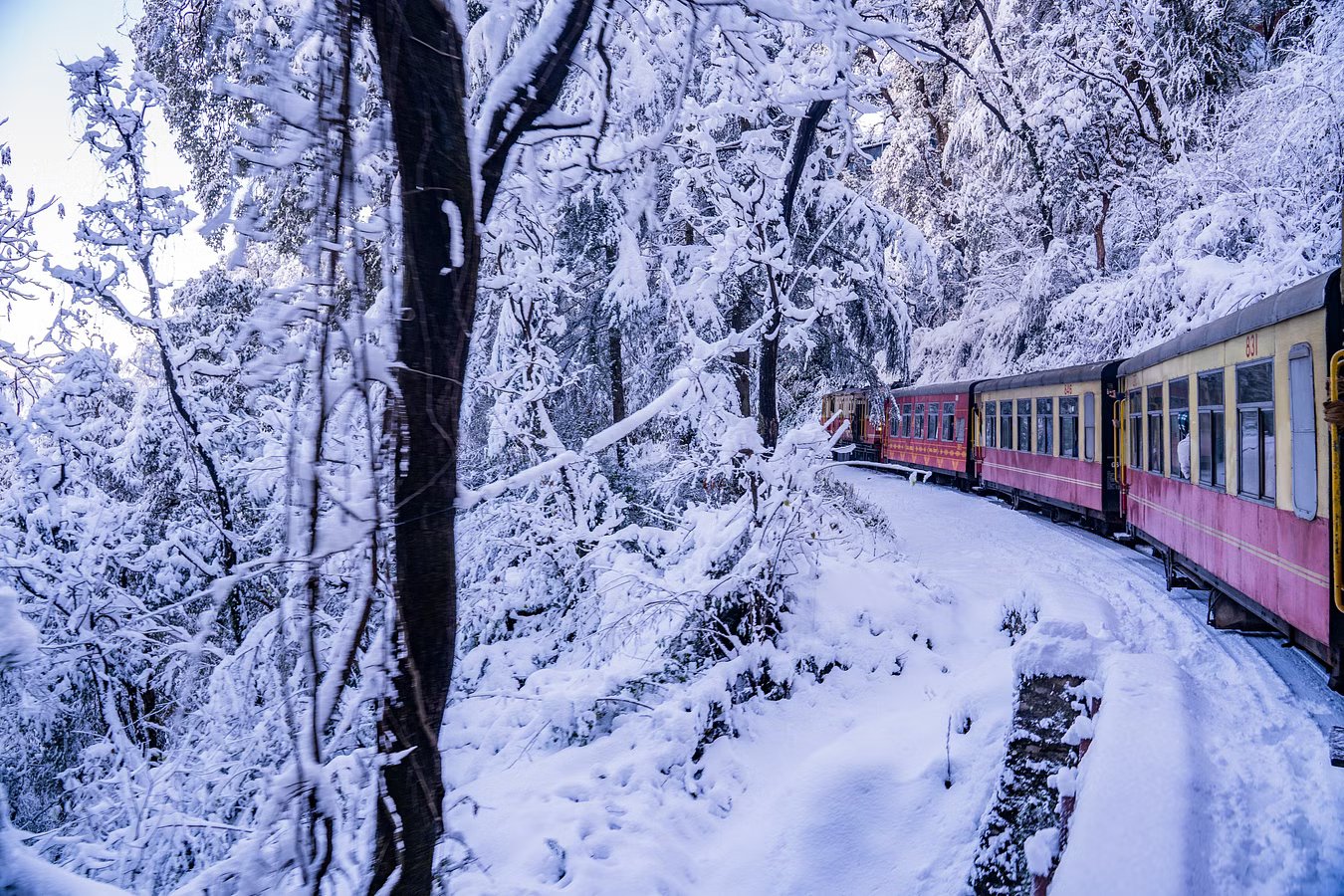 shimla-sightseeing-tour-from-delhi